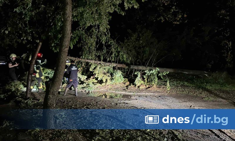 Силна буря с градушка връхлетя снощи Хисаря. Изкоренени са дървета, има