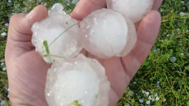 Общо 11 села в област Ямбол са пострадали от паднала