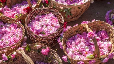 Планирайте си юни: 5 разкошни места за пътуване в България
