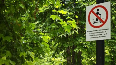 Полицията в Плевен установи мъжа, блъснал с тротинетка двегодишно дете