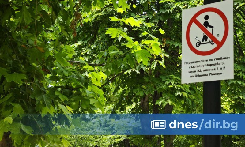 Полицията в Плевен установи мъжа, който преди ден блъсна с