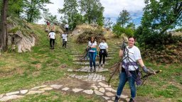 В Пловдив се състоя акция по премахване на изсъхнали дървесни видове от Сахат тепе