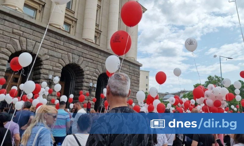 На мирно бдение пред сградата на парламента се събраха на