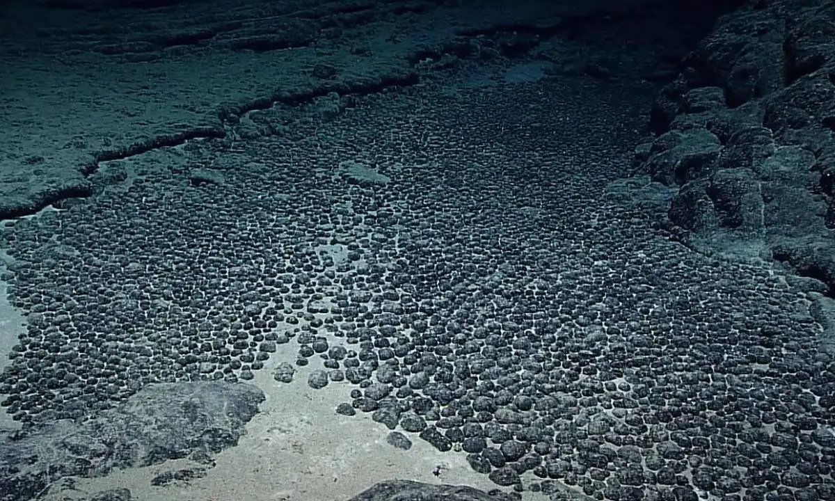 Изглед към дъното на Тихия океан, където хиляди полиметални конкреции покриват морското дъно - места, които сега се свързват с неочаквано производство на кислород в пълна тъмнина