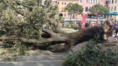 Десет души бяха ранени при във Венеция предадоха АНСА Стампа