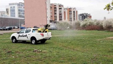 Столичната община започва втората планова вълна от обработки срещу вредители