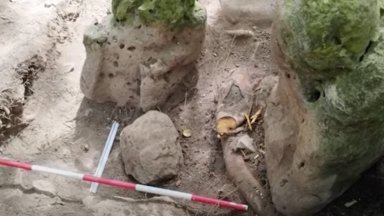 Откриха ритуален център на маите на почти 3000 години в северната част на Гватемала