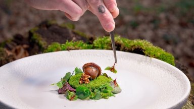 Ресторанти в САЩ намаляват грамажа на порциите си за клиенти, приемащи "Оземпик“