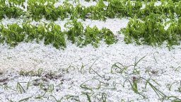 Бури и градушки удариха Западна България, селища са без ток, а полети са пренасочени (видео)