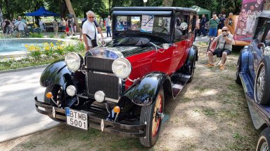 Повече от 300 участници от България и Румъния се включиха