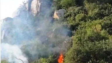 Пожар в подножието на паметника на Альоша в Пловдив