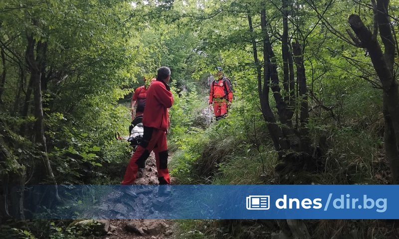 Виж още Спасител едва не загина, спасявайки жена, влязла на