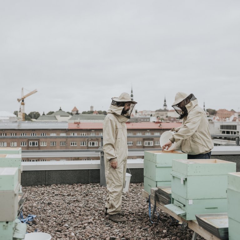 Градски ферми и пчеларство – новата урбанистична форма на устойчивост