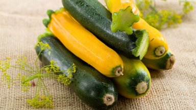 Рязко поскъпване на тиквичките. Как се движат цените