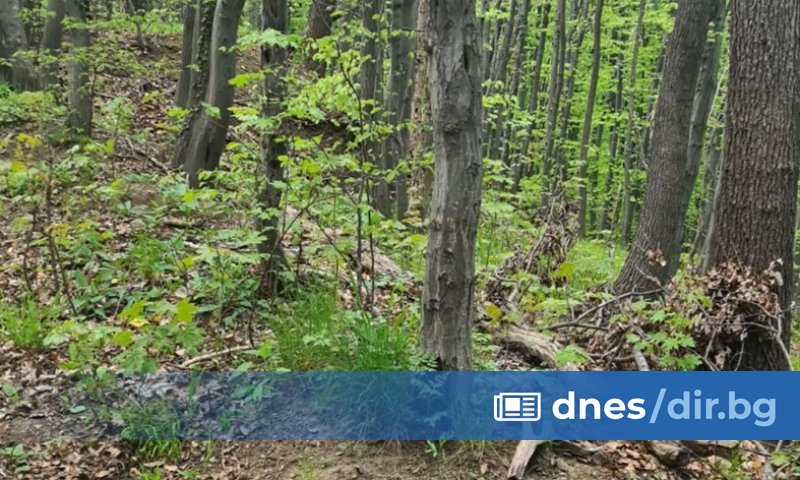 Полицията в Перник и спасители от Аварийно-спасителния отряд издирват мъж,