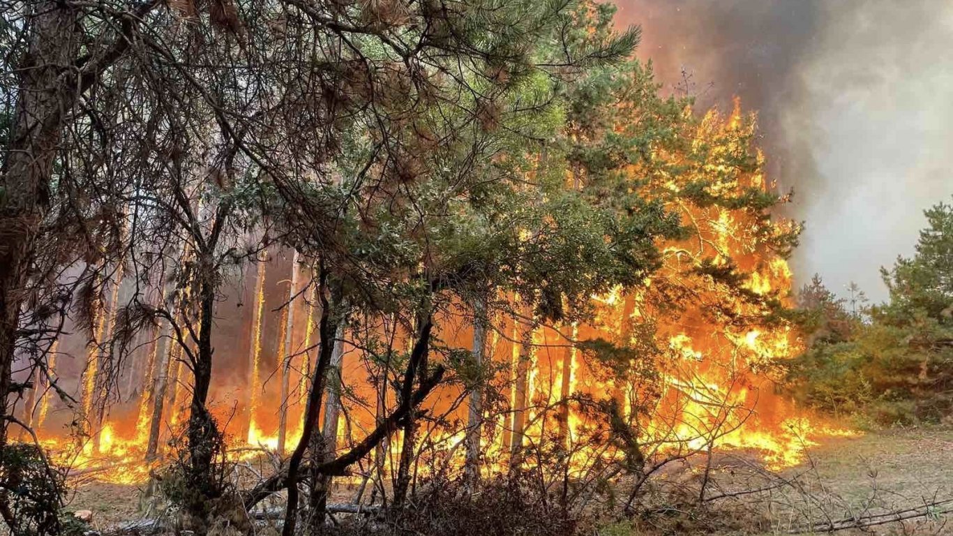 Голям пожар пламна в Свиленградско 