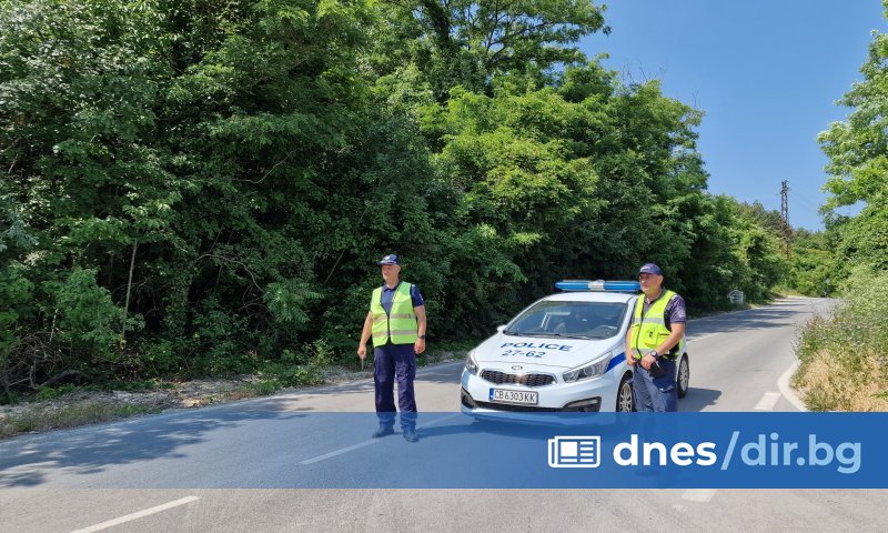 Продължава издирването на хищника от рода котки, който вдигна на