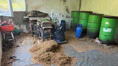 Нелегална фабрика за преработка и продажба на безакцизен тютюн е