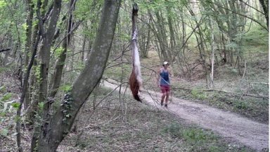 Опасно: Мъж е тичал с кучето си в района, в който издирват леопарда