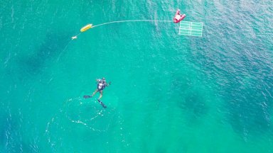 Уникална корабна котва е открита в акваторията на пристанището в