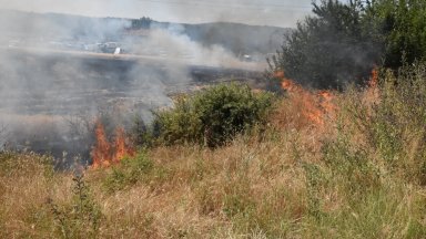 Пожар гори край Карнобат, областният управител на Бургас активира системата BG-Alert 