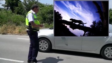 Полицай е човекът видял черния леопард в четвъртък вечерта и