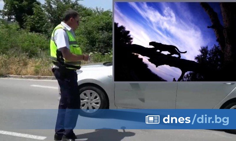 След като преди седмица черния леопард беше , през вчерашния