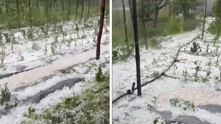 Градушка колкото орех удари Югозападна България, активираха се свлачища, щетите са огромни