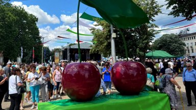 В Кюстендил официално бе открито 18 ото издание на Празника на