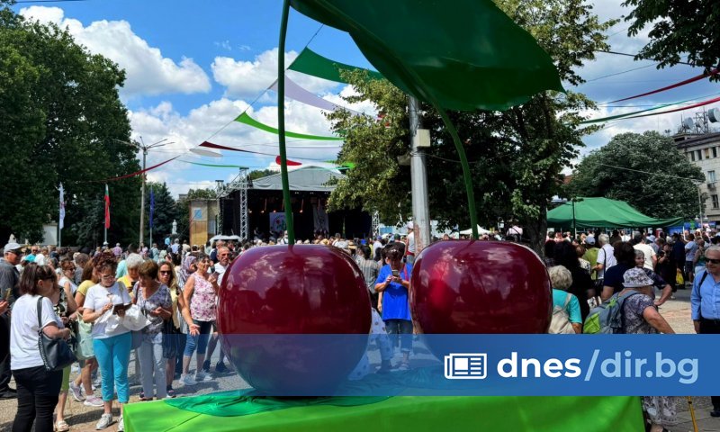 В Кюстендил официално бе открито 18-ото издание на Празника на