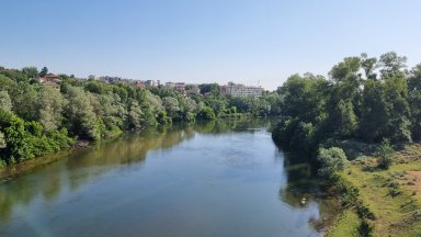 Сигнал за наличие на умряла риба в река Марица в