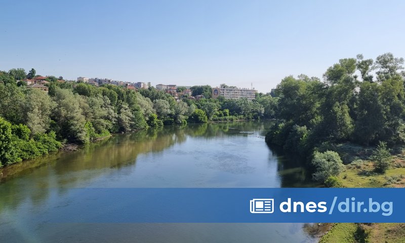 Сигнал за наличие на умряла риба в река Марица, в