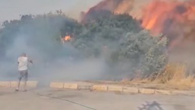 Горски пожари избухнаха край Измир, евакуирани са голям брой хора