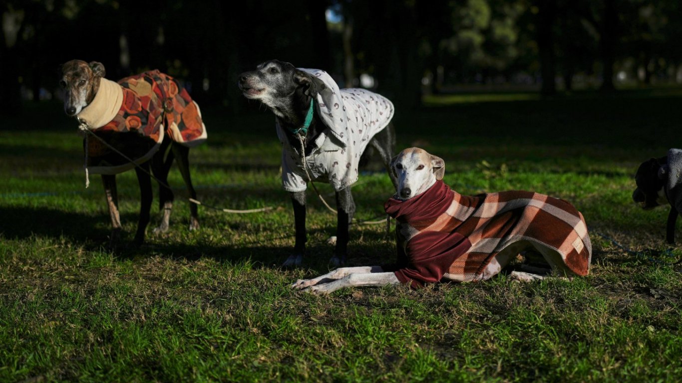 Европа изнемогва от горещини, а Южна Америка трепери от студ