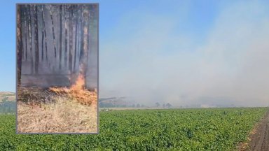 Голям пожар гори на хълмовете край Айтос над айтоския квартал