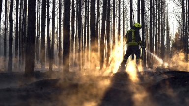Пожарникарите в Източна Германия се борят с няколко огнища на