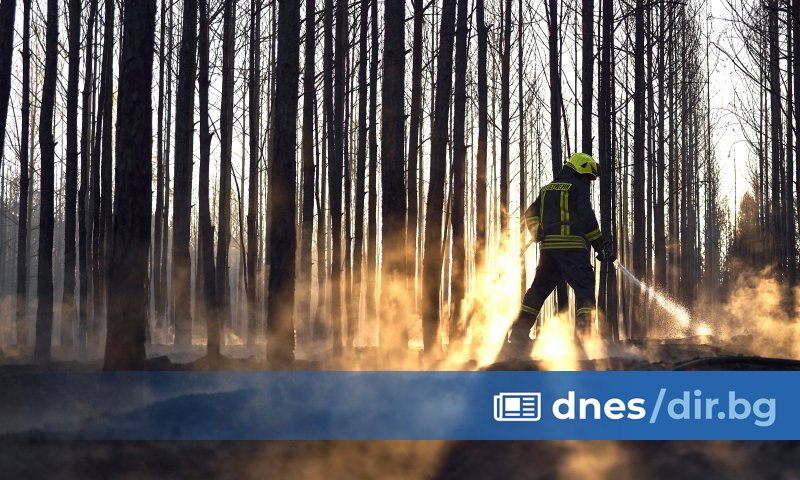Пожарникарите в Източна Германия се борят с няколко огнища на