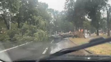 Буря повали дървета, смаза коли и отнесе покриви в Загреб, торнадо удари крайбрежието (видео)