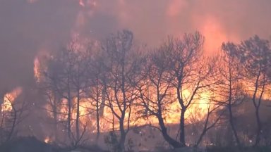 Голям пожар в Каталуния, 2000 души са блокирани в домовете си, властите искат помощ от армията
