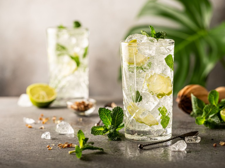 Да се разхладим: Честит Ден на мохитото