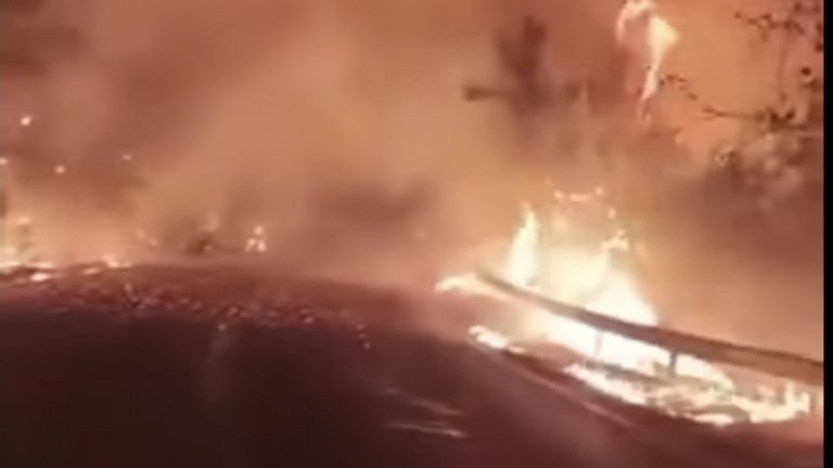 Голям пожар избухна на остров Тасос, евакуират туристи (видео)