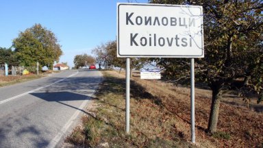 Вой, глад и самоизяждане: Над 400 кучета от приют тормозят жителите на Коиловци (видео)