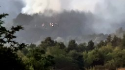 Пожарът край Мурсалево обхвана 2000 дка, изпепели над 100 дка посеви (снимки)