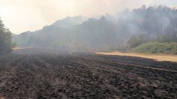 15 000 дка са изгорели в пожара край Белоградчик, кметът призова за помощ и още доброволци