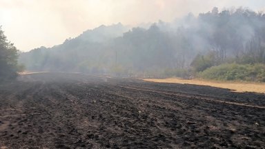 Около 15 000 декара сухи треви ниска тревна растителност и