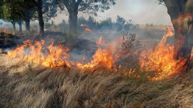 Пожари горят в няколко области в страната като на места