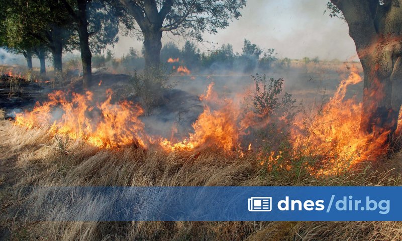 Пожари горят в няколко области в страната, като на места