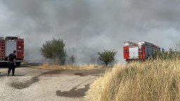 Голям пожар във вилна зона край Бургас: Над 20 къщи са изпепелени, тече евакуация