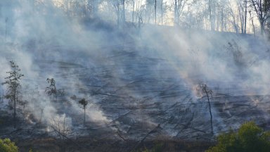 Осем пожара за два дни са регистрирани в област Русе