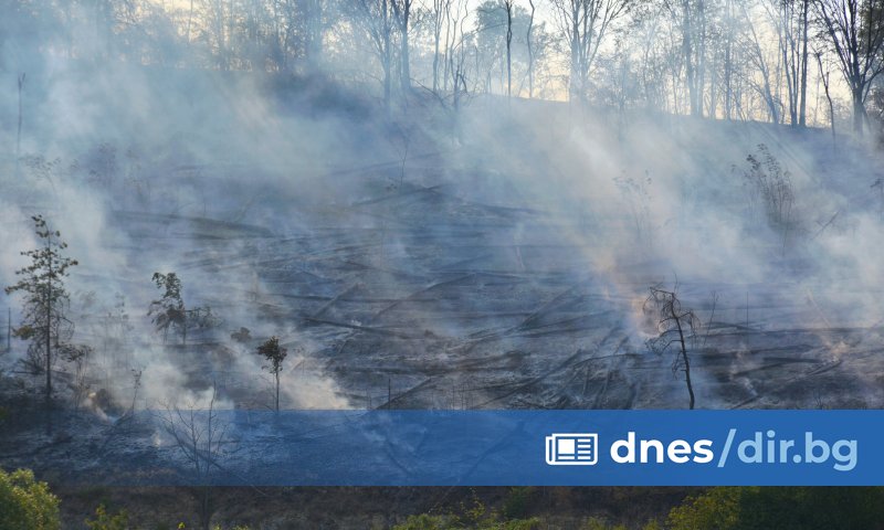 Осем пожара за два дни са регистрирани в област Русе.